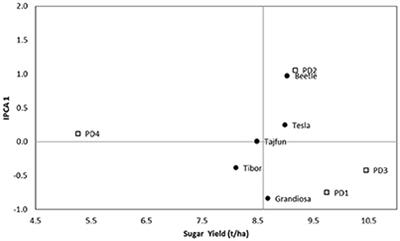 Effect of Sugar Beet Genotype, Planting and Harvesting Dates and Their Interaction on Sugar Yield